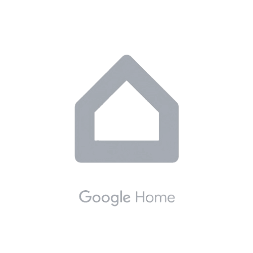 Google Home